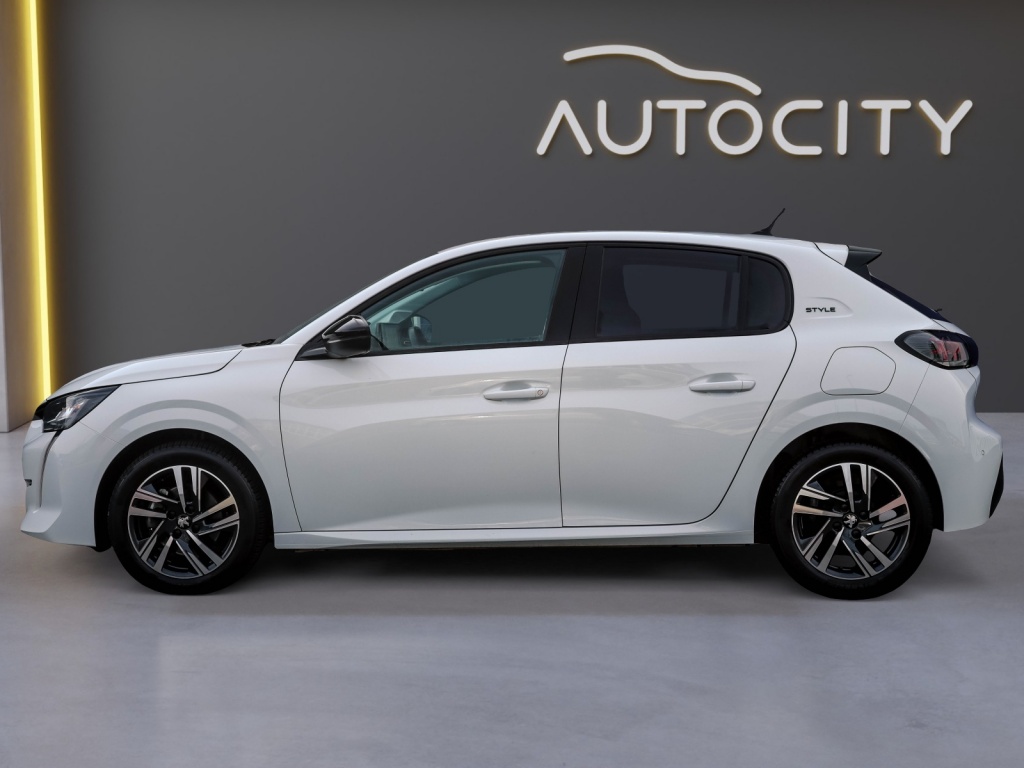 51769224-1.jpg