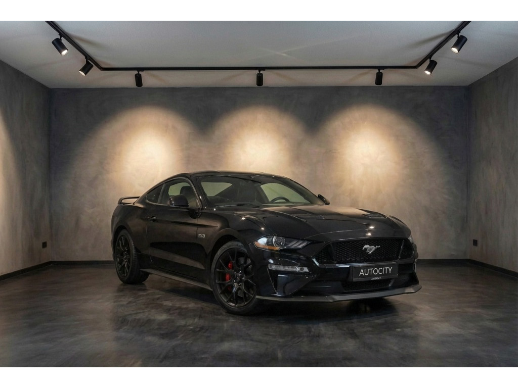 52305841-1.jpg