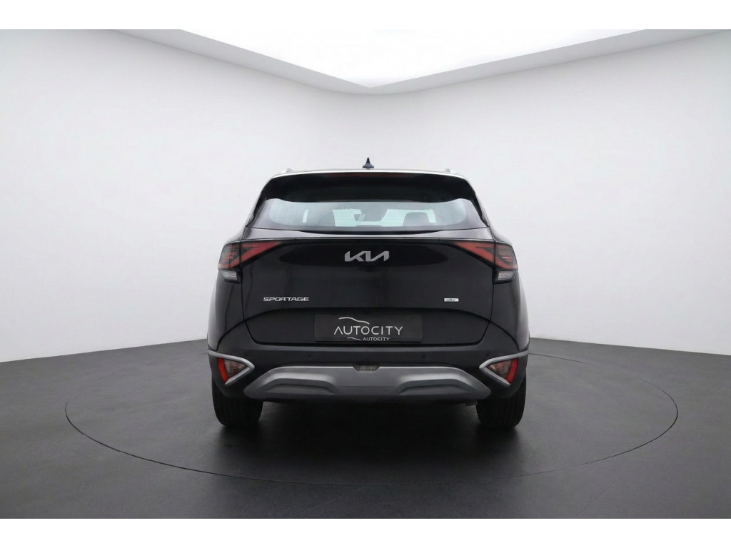 52888196-3.jpg