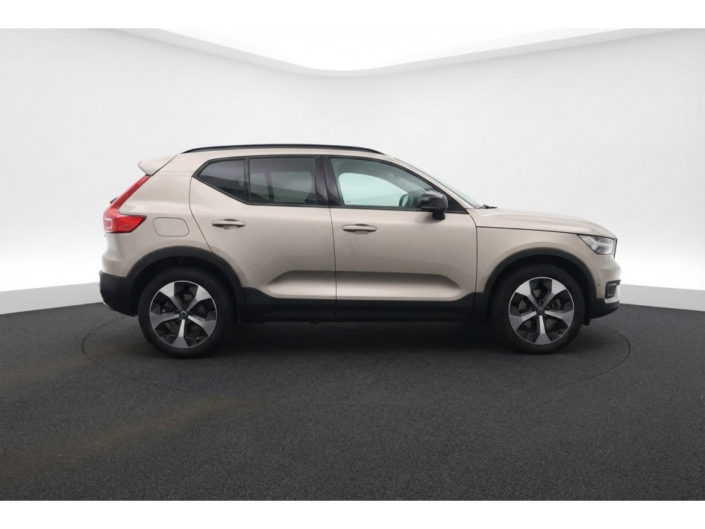 53025245-3.jpg