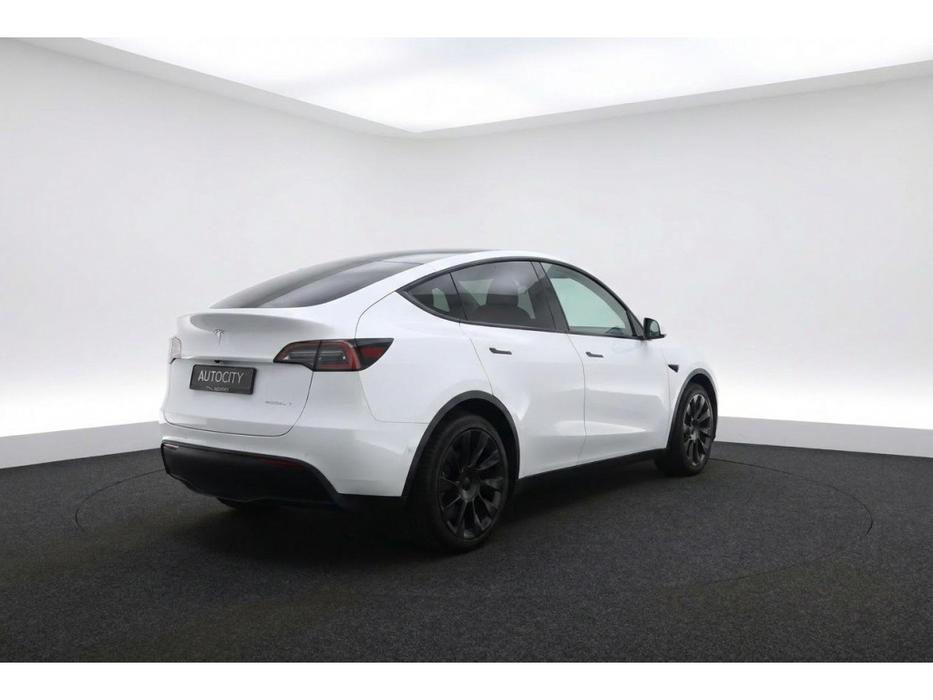 53155283-2.jpg