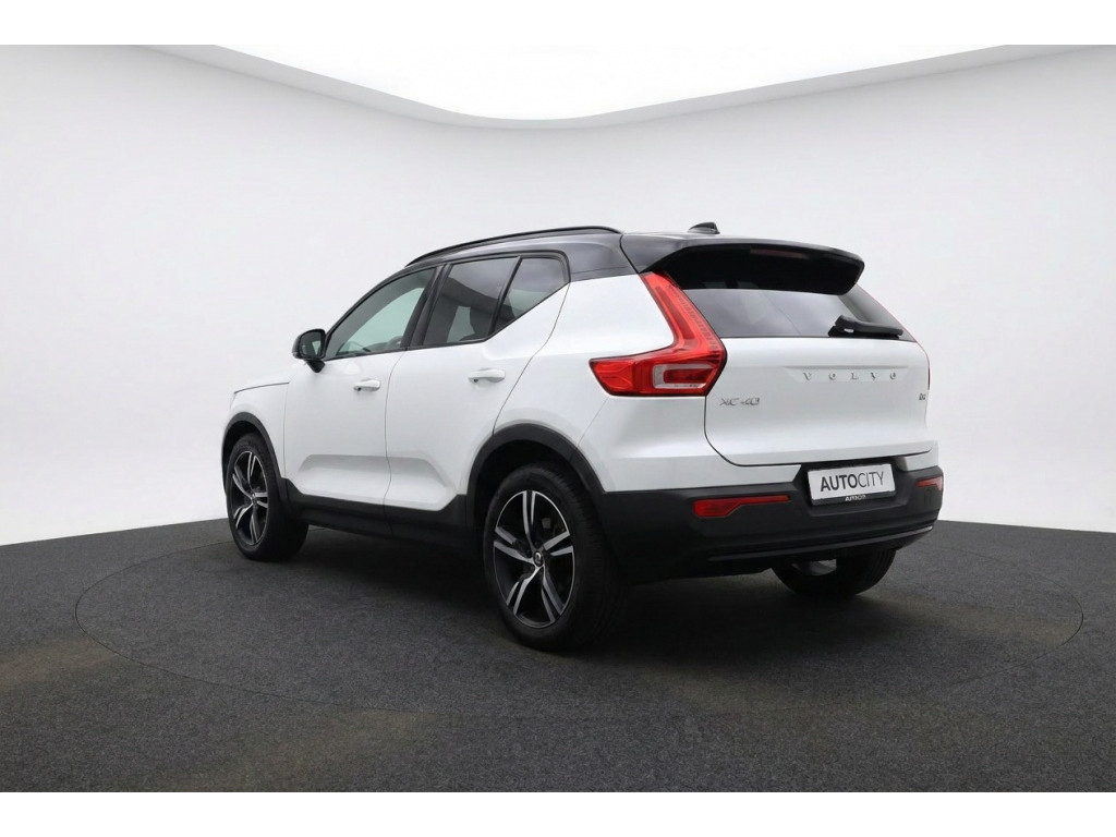 53355687-2.jpg